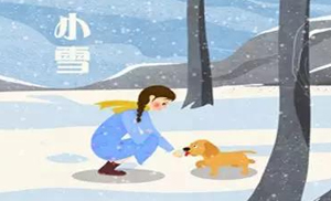 安氏亞森板材：小雪丨花開天下暖，葉落天下寒